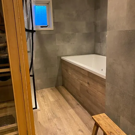 4 Person With Sauna And Whirpool Alpehytte Doornspijk