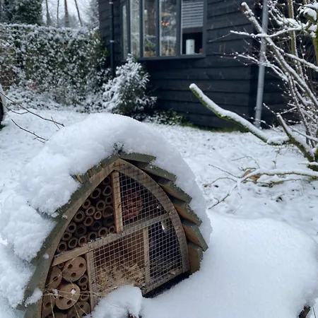 4 Person With Sauna And Whirpool *