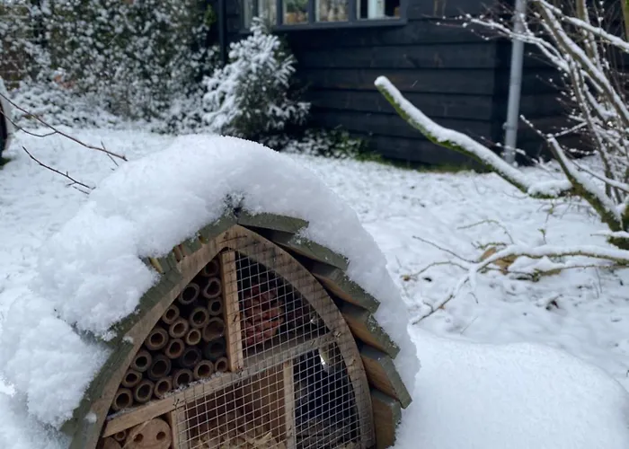 4 Person With Sauna And Whirpool *