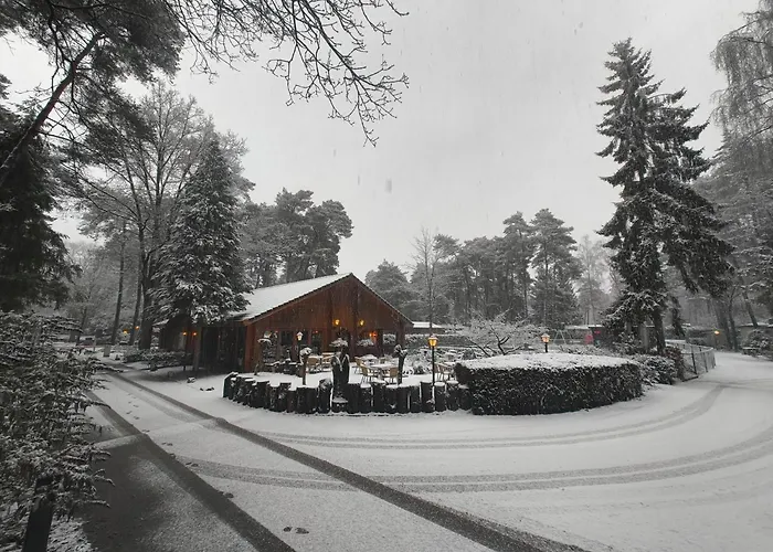 Chalet 4 Person With Sauna And Whirpool Doornspijk